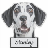 Aangepaste huisdierfoto | Gepersonaliseerde naam Sticker (Voorkant)
