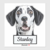 Aangepaste huisdierfoto | Gepersonaliseerde naam Sticker (Vel)
