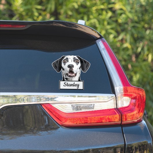 Aangepaste huisdierfoto | Gepersonaliseerde naam Sticker (Auto Zijkant)