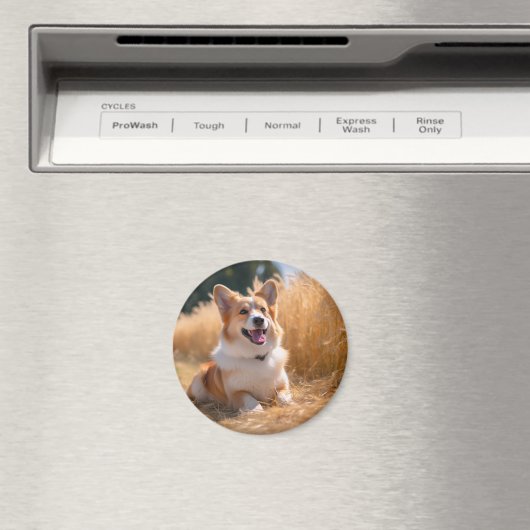 Aangepaste huisdierfoto magneet (Insitu (Vaatwasser))