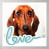 Aangepaste huisdierfoto met LIEFDE in blauwe typog Poster (Voorkant)