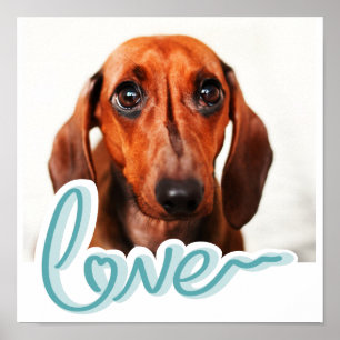 Aangepaste huisdierfoto met LIEFDE in Blauwe Typog Poster