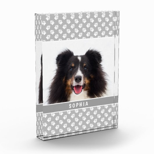 Aangepaste huisdierfoto met witte poten op grijs e fotoblokken (Links)