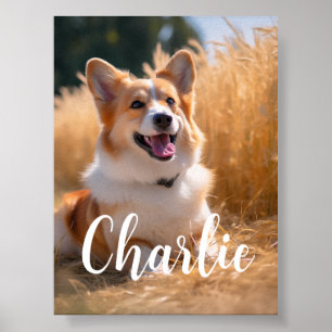 Aangepaste huisdierfoto poster