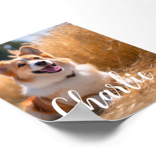 Aangepaste huisdierfoto poster (Hoek)