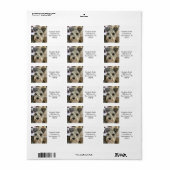 Aangepaste huisdierfoto retouradres etiket (Full Sheet)