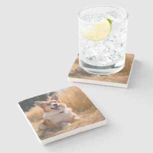 Aangepaste huisdierfoto stenen onderzetter