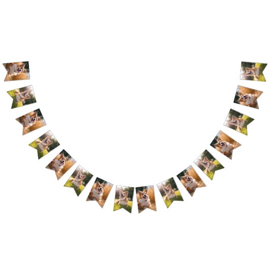 Aangepaste huisdierfoto vlaggetjes (Alle)