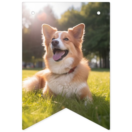 Aangepaste huisdierfoto vlaggetjes (Tweede vlag)