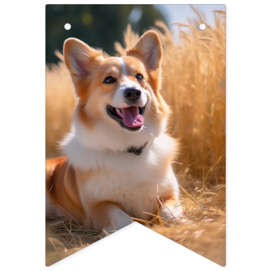 Aangepaste huisdierfoto vlaggetjes (Derde vlag)