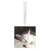 Aangepaste huisdierherdenking decoratie (Rechts)