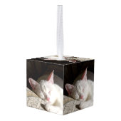 Aangepaste huisdierherdenking decoratie (Achter hoekig)