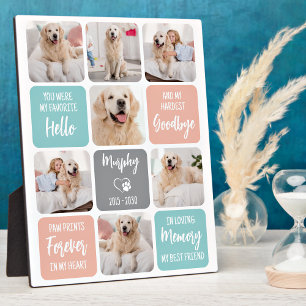Aangepaste huisdierhond herdenking Chic pastelkleu Fotoplaat