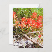 Aangepaste Indiase Waterverf voor verfpenselen Briefkaart (Voorkant / Achterkant)