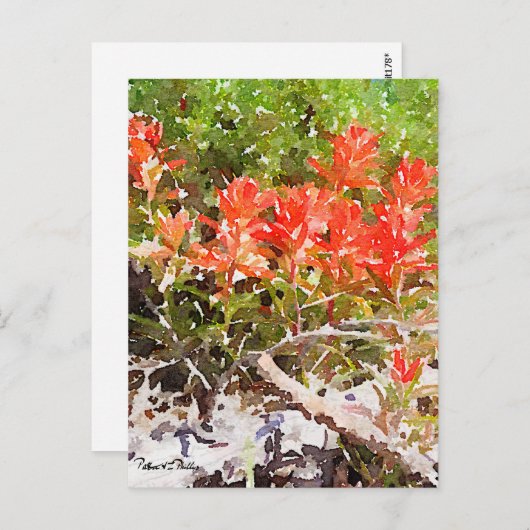 Aangepaste Indiase Waterverf voor verfpenselen Briefkaart (Voorkant / Achterkant)