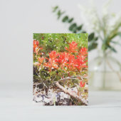 Aangepaste Indiase Waterverf voor verfpenselen Briefkaart (Staand voorkant)