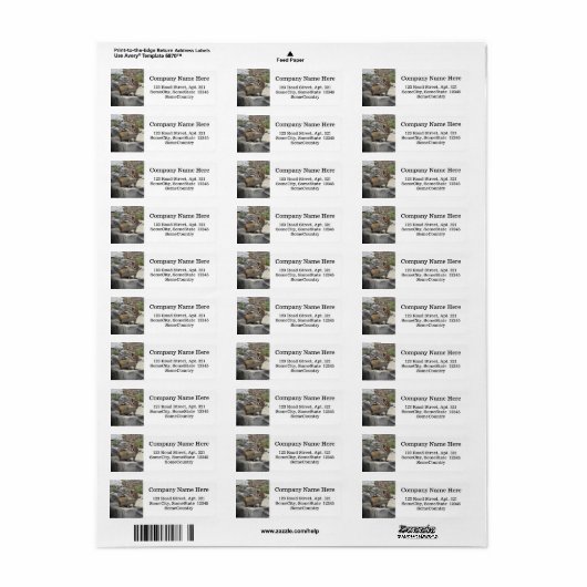 Aangepaste info + Cute Chipmunk, zoals ritter op e Etiket (Full Sheet)