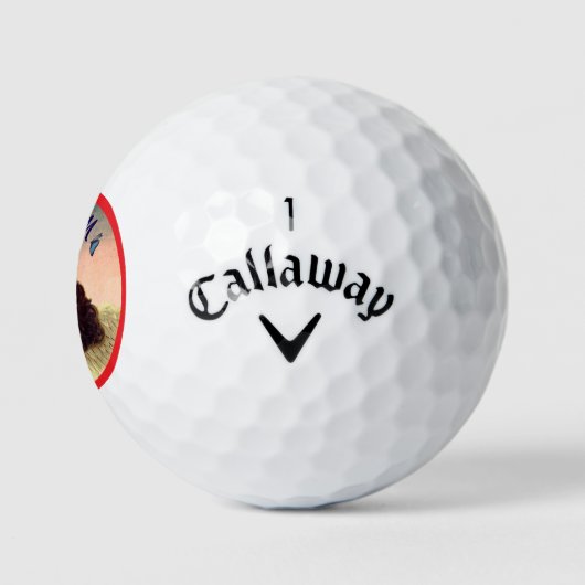 AANGEPASTE INITIALEN GOLFBAL ANGEL GOLFBALLEN (Logo)