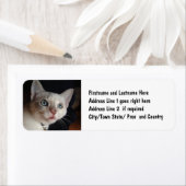 Aangepaste Instagram fotosjabloon Etiket (Insitu)