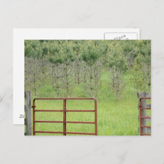 Aangepaste Into the Pines-ansichtkaart Briefkaart (Voorkant / Achterkant)