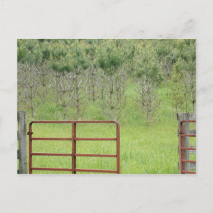 Aangepaste Into the Pines-ansichtkaart Briefkaart