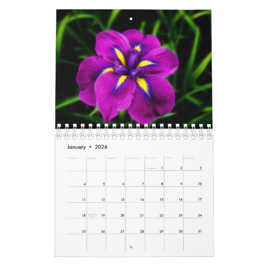 Aangepaste Iris Bloemenkalender | bewerkbaar jaar Kalender (Jan 2026)