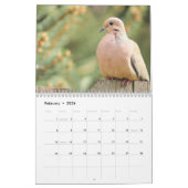 Aangepaste Jaar Achtertuin Wildlife Fotografie Kal Kalender (Feb 2026)