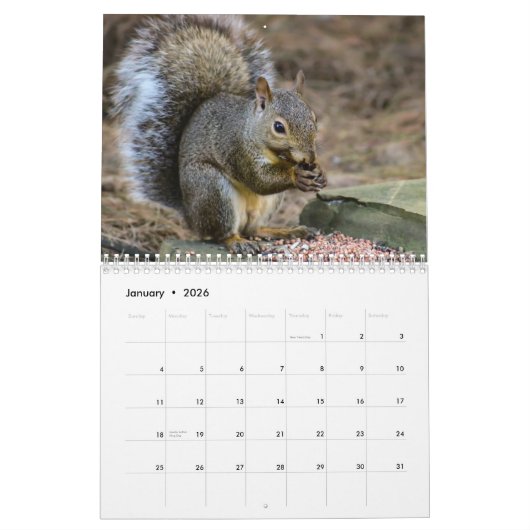 Aangepaste Jaar Achtertuin Wildlife Fotografie Kal Kalender (Jan 2026)