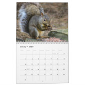 Aangepaste Jaar Achtertuin Wildlife Fotografie Kal Kalender (Jan 2027)