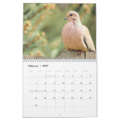 Aangepaste Jaar Achtertuin Wildlife Fotografie Kal Kalender (Feb 2027)