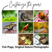 Aangepaste Jaar Achtertuin Wildlife Fotografie Kal Kalender