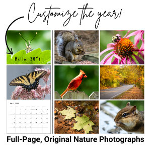 Aangepaste Jaar Achtertuin Wildlife Fotografie Kal Kalender