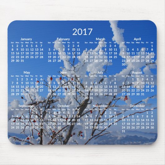 Aangepaste Jaarlijkse Kalender 2017 Muismatten Win (Voorkant)