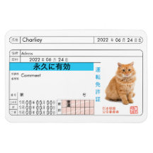 Aangepaste Japanse Rijbewijskaart!!