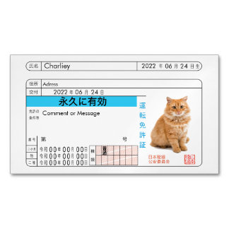 Aangepaste Japanse Rijbewijskaart!! Magnetisch Visitekaartje