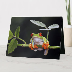 Aangepaste Kaart tekstkikker