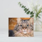 Aangepaste Kaart voor foto's en comprimeren en Bri (Staand voorkant)