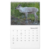 Aangepaste kalender voor grappige en kalkoenen (Feb 2027)