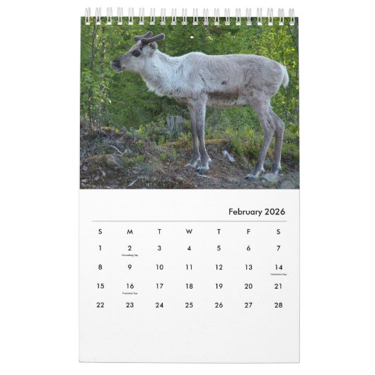 Aangepaste kalender voor grappige en kalkoenen (Feb 2026)