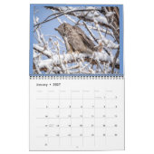 Aangepaste kalender voor Owl (Jan 2027)