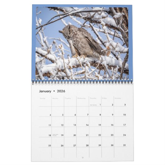 Aangepaste kalender voor Owl (Jan 2026)