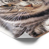 Aangepaste kat foto en naam poster (Hoek)