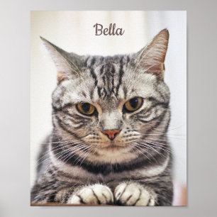 Aangepaste kat foto en naam poster