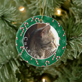 Aangepaste kat-foto-snoepjes Lijst groene versieri Keramisch Ornament