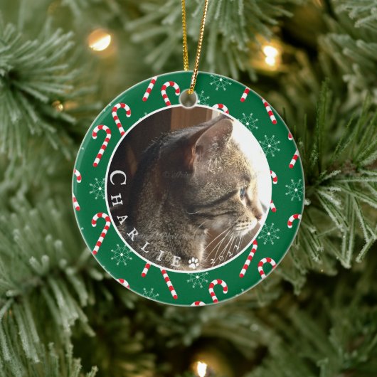 Aangepaste kat-foto-snoepjes Lijst groene versieri Keramisch Ornament (Boom)