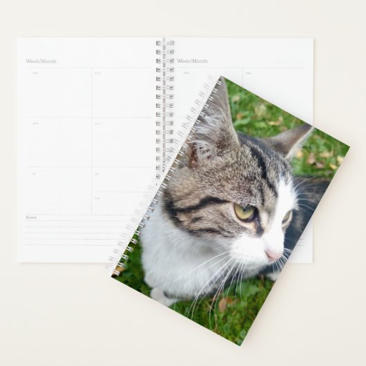 Aangepaste kat foto wekelijks maandelijkse spiraal planner (Display)