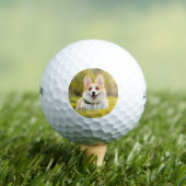 Aangepaste kat, hond, & huisdier foto met naam golfballen (Insitu Shirt)