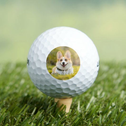 Aangepaste kat, hond, & huisdier foto met naam golfballen (Insitu Shirt)