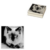 Aangepaste kat huisdier foto rubberstempel (Gestempeld)