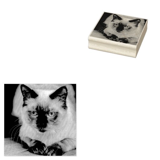 Aangepaste kat huisdier foto rubberstempel (Gestempeld)